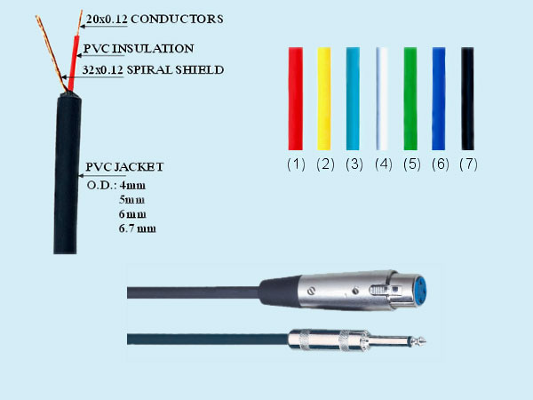 56d.jpg